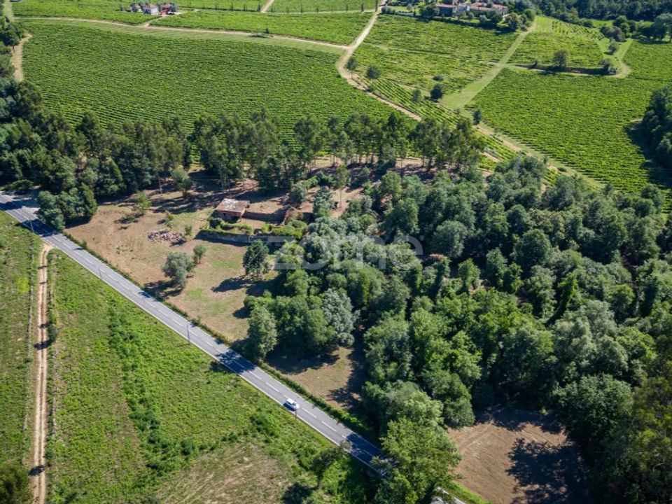 Farm i Vila Verde, Braga - foto 1