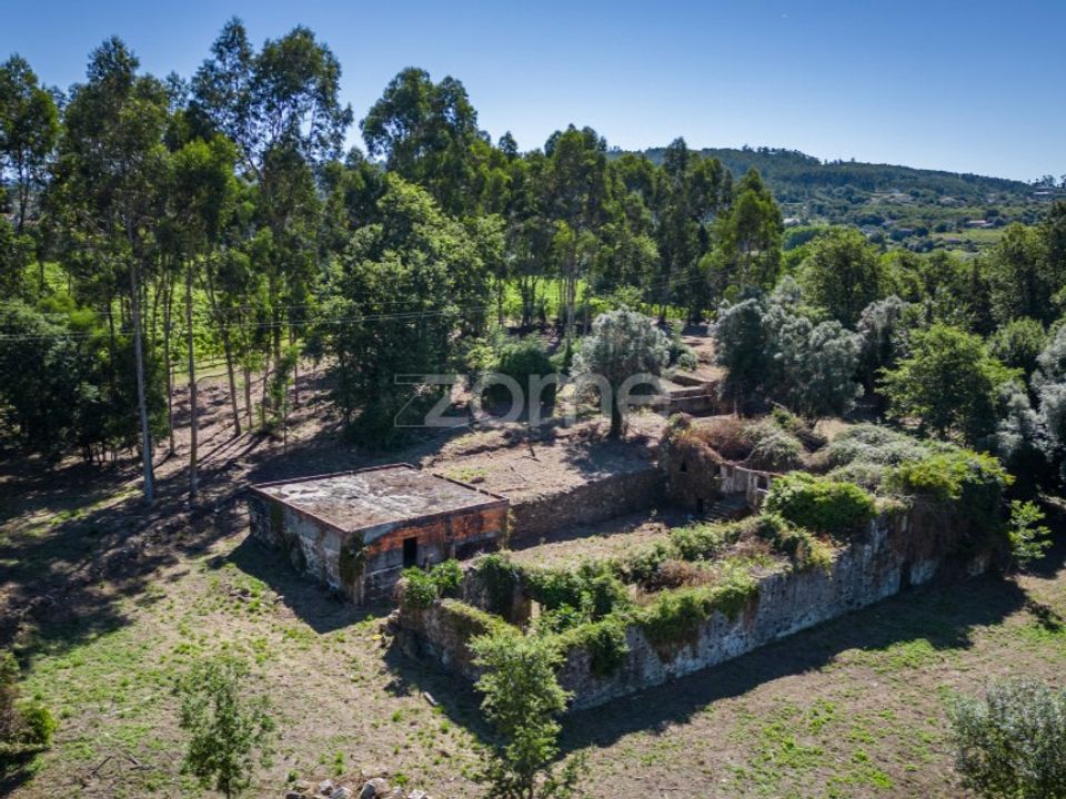 Farm i Vila Verde, Braga - foto 5