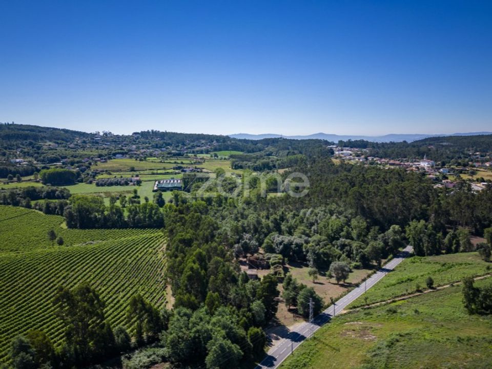Farm i Vila Verde, Braga - foto 3