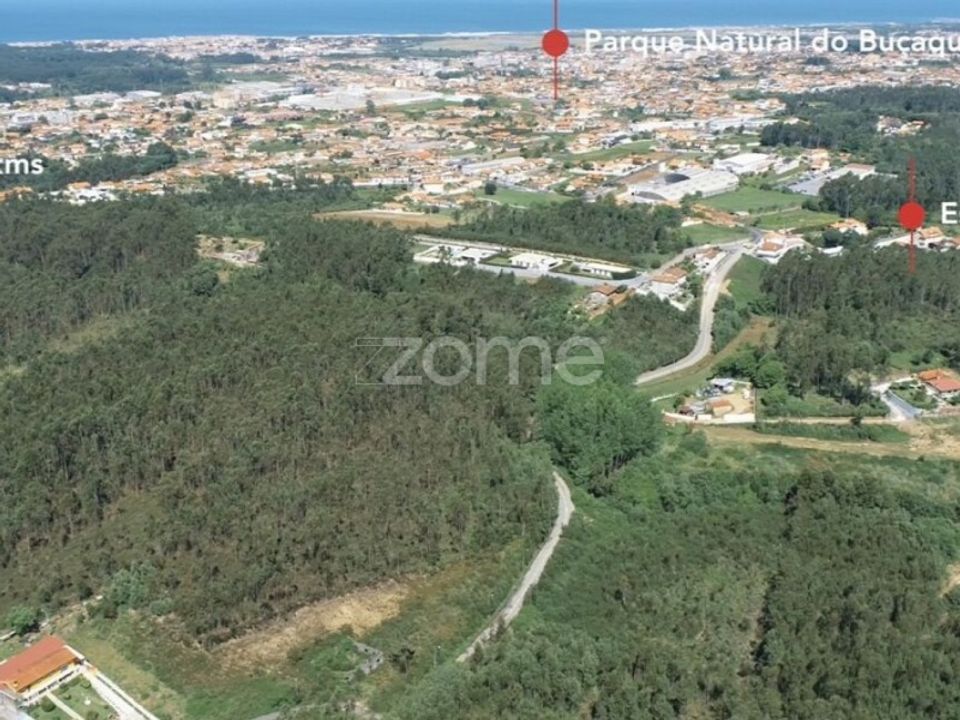 Terreno en Cortegaca, Aveiro - foto 5