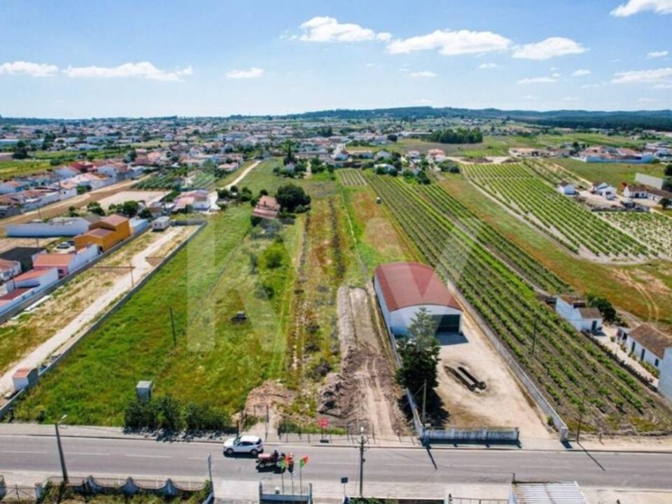 Helårsgrund i Almeirim, Santarem - foto 3