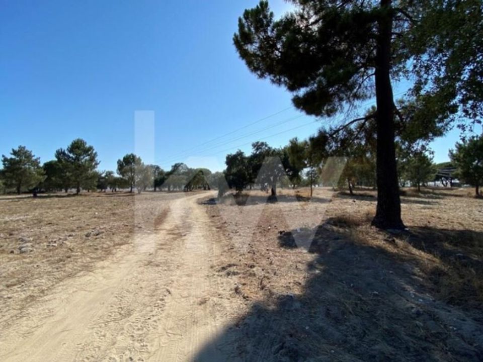 Helårsgrund i Moita, Setubal - foto 4