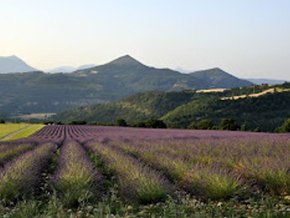 Villa i Digne-les-Bains, Alpes-de-Haute-Provence - foto 4
