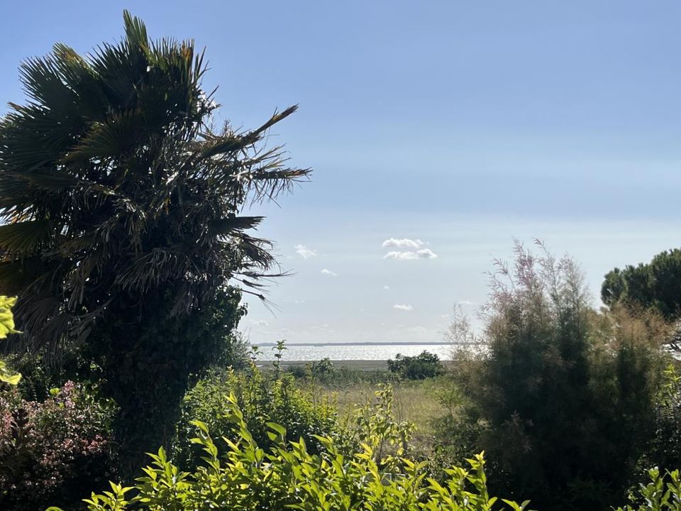 Villa i Mortagne-sur-Gironde, Charente-Maritime - bilde 2