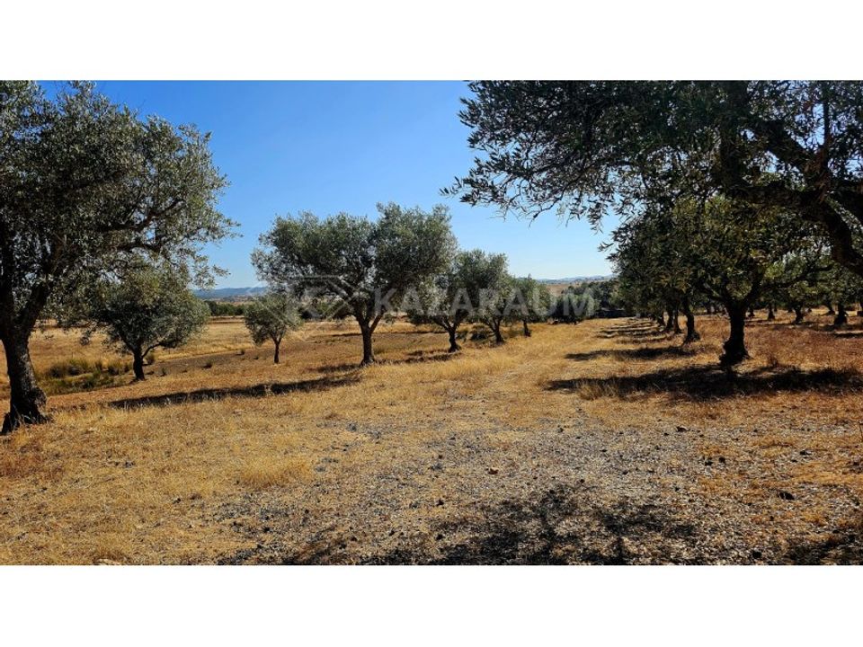 Helårsgrund i Ourique, Beja - foto 1