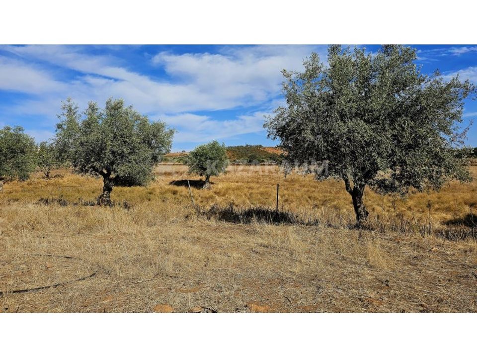 Helårsgrund i Ourique, Beja - foto 2