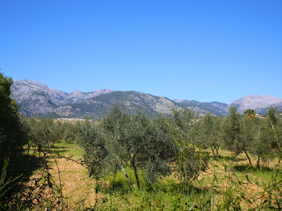 Landejendom i Selva, Mallorca - foto 2