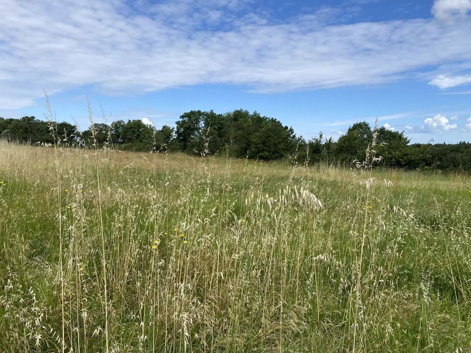 Villa i Montech, Tarn-et-Garonne - foto 3