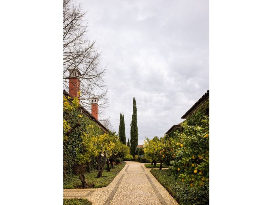 Farm hus i Cantanhede, Coimbra - foto 4