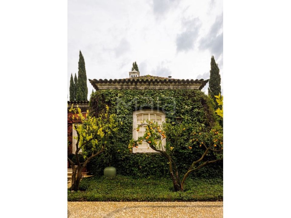 Farm hus i Cantanhede, Coimbra - foto 5