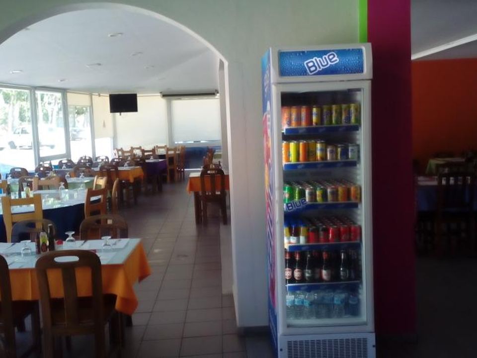 Lejlighed i Condeixa-a-Nova, Coimbra - foto 3