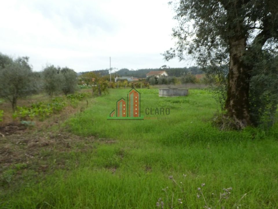 Helårsgrund i Soure, Coimbra - foto 1