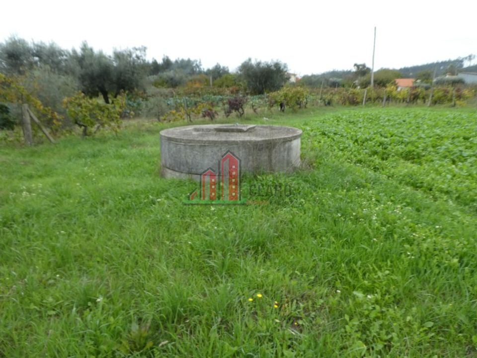 Helårsgrund i Soure, Coimbra - foto 3