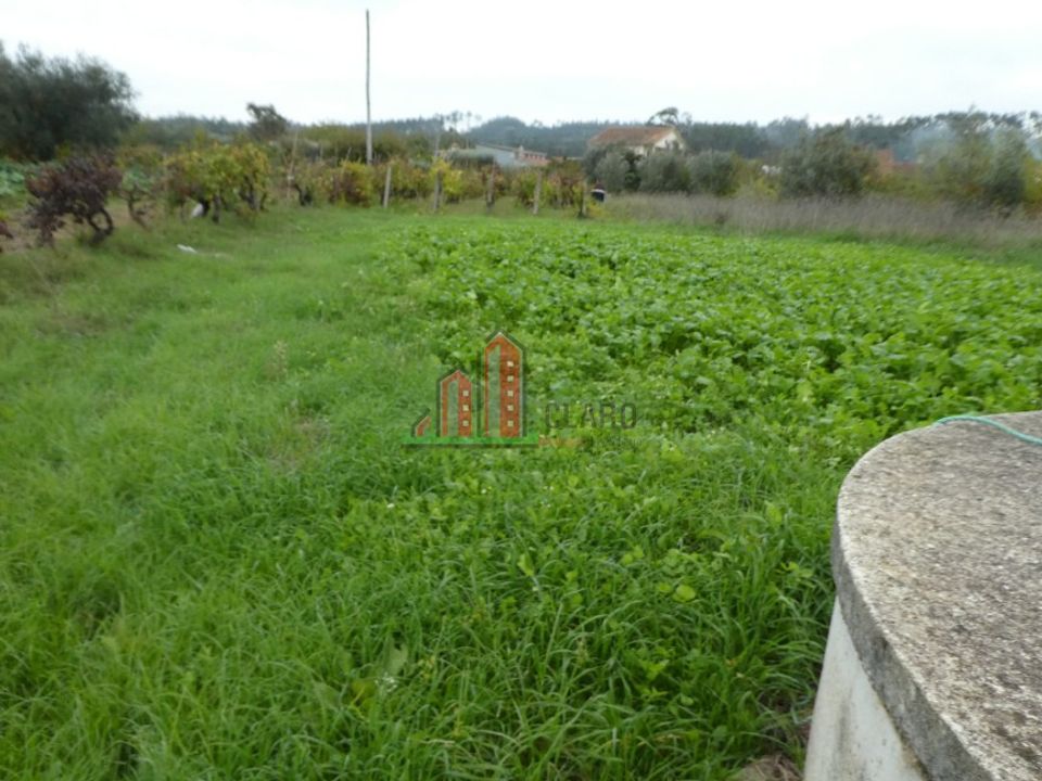 Helårsgrund i Soure, Coimbra - foto 4
