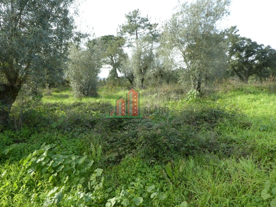 Helårsgrund i Coimbra, Coimbra - foto 1