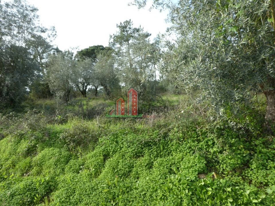 Helårsgrund i Coimbra, Coimbra - foto 2