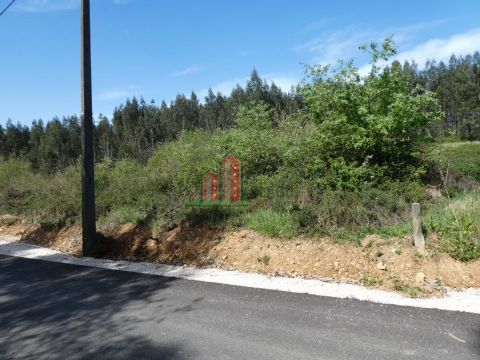 Helårsgrund i Penela, Coimbra - foto 1