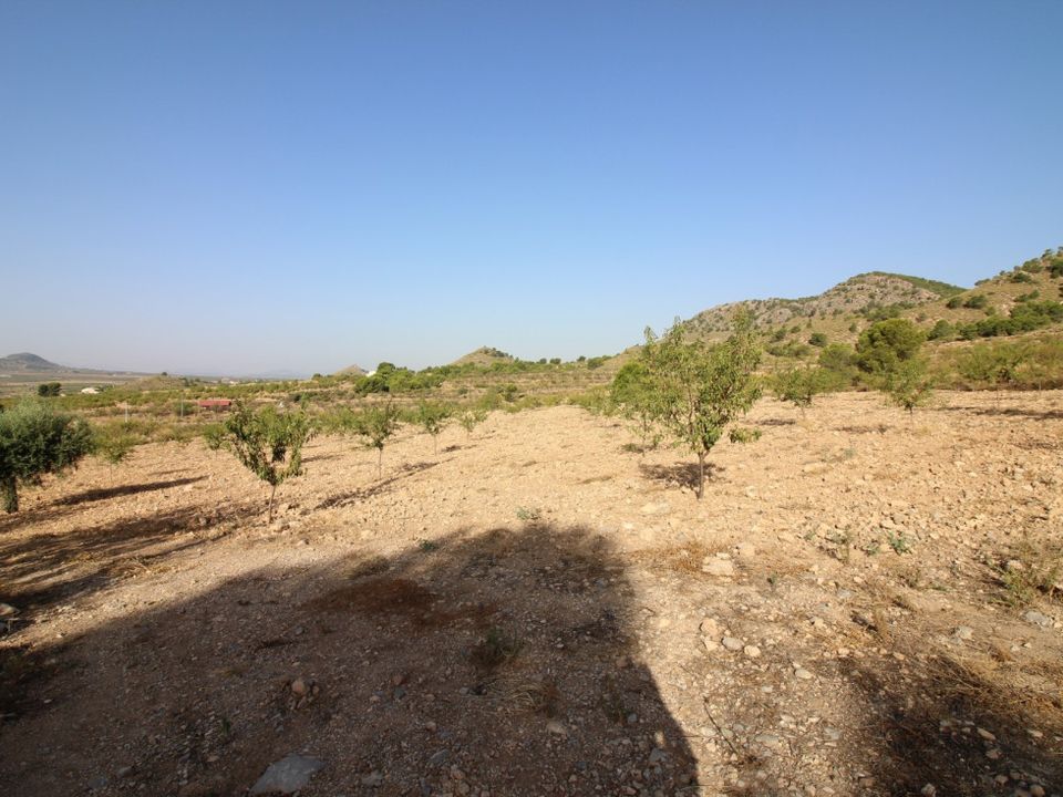 Helårsgrund i Ricote, Murcia - foto 1