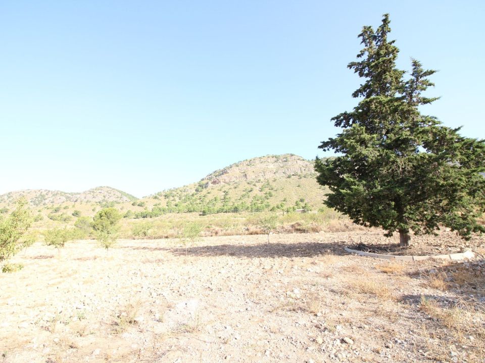 Helårsgrund i Ricote, Murcia - foto 2