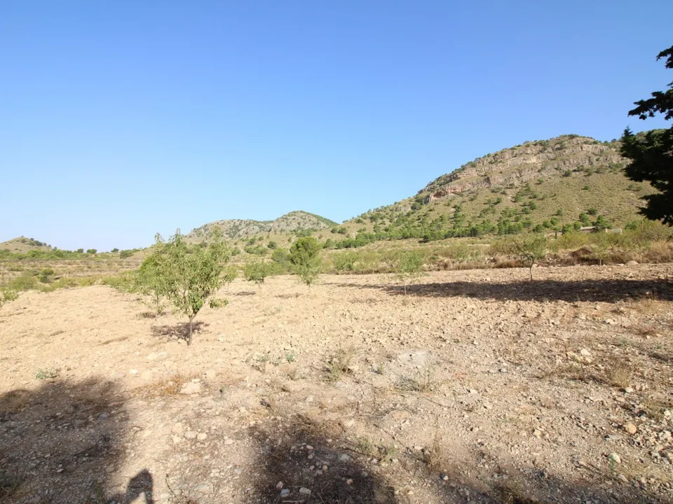 Helårsgrund i Ricote, Murcia - foto 3
