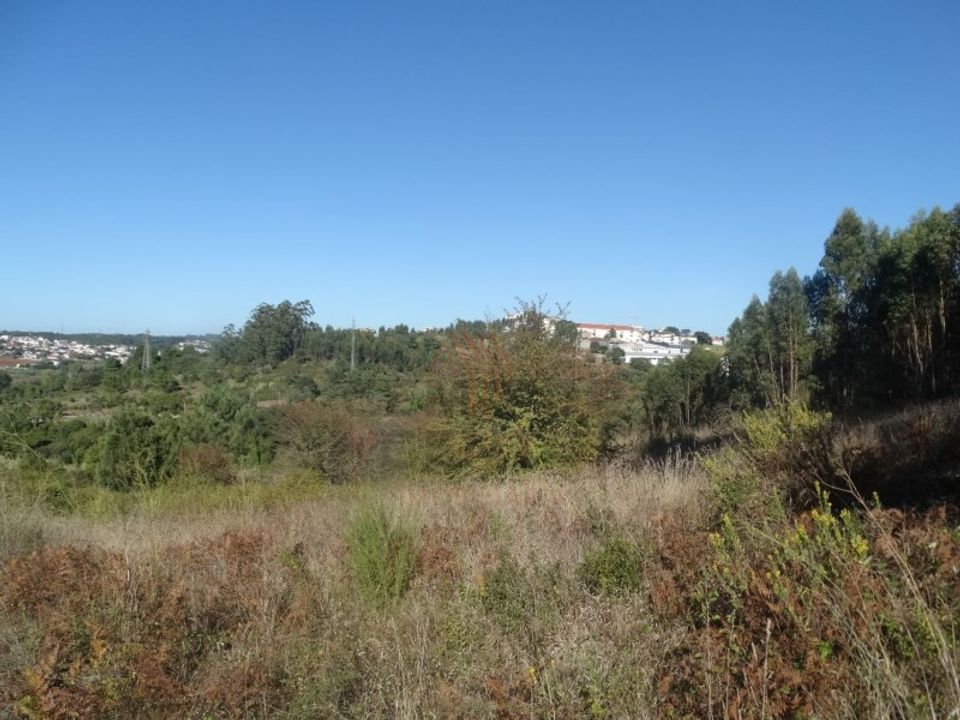 Helårsgrund i Leiria, Leiria - foto 2