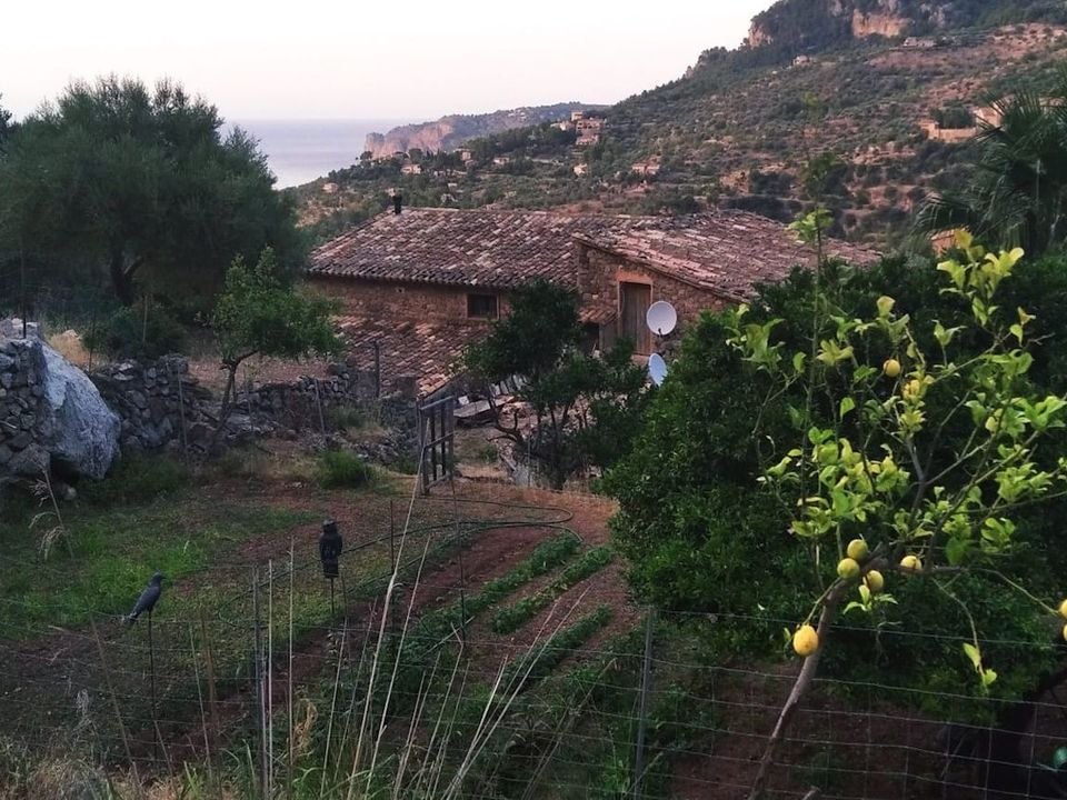 Villa i Deia, Mallorca - foto 2