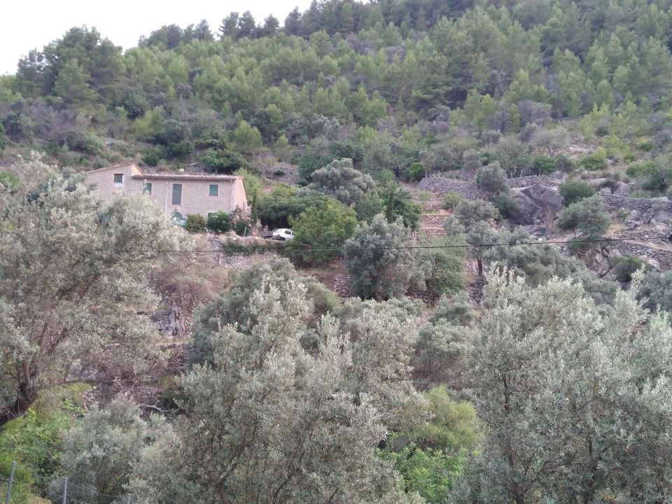 Villa i Deia, Mallorca - foto 3