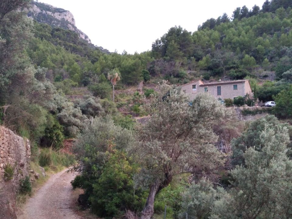 Villa i Deia, Mallorca - foto 4