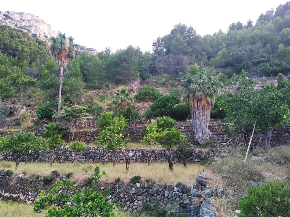 Villa i Deia, Mallorca - foto 5