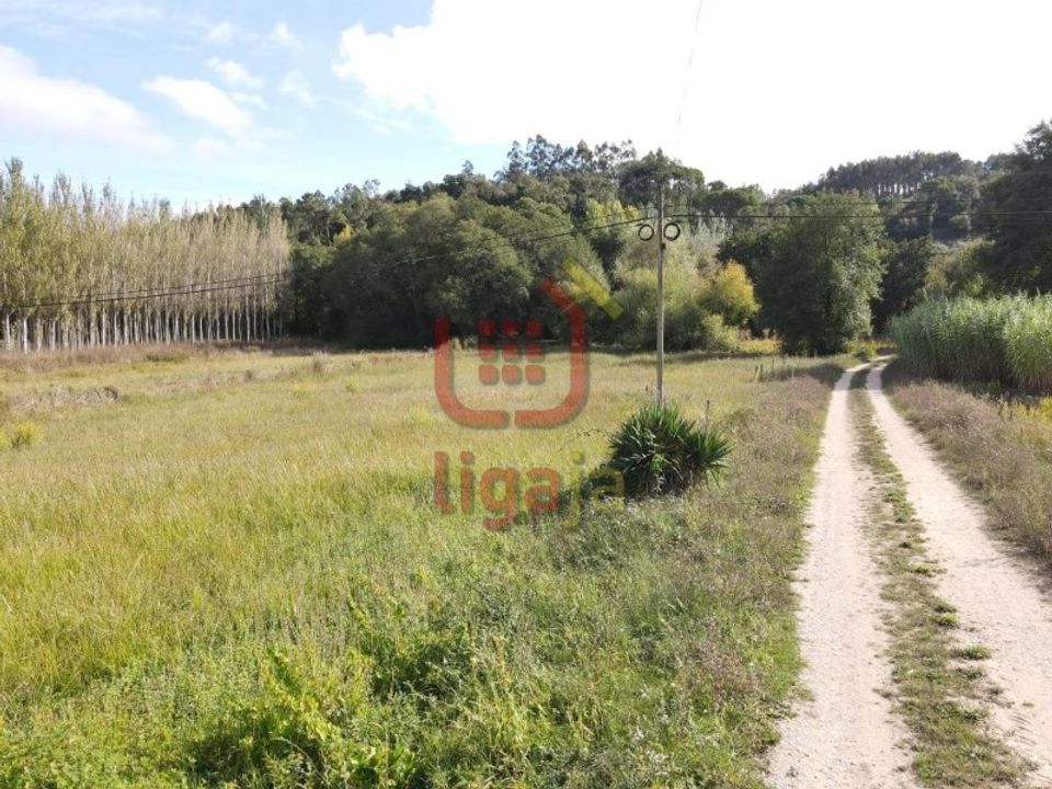 Helårsgrund i Gondemaria e Olival, Santarem - foto 4