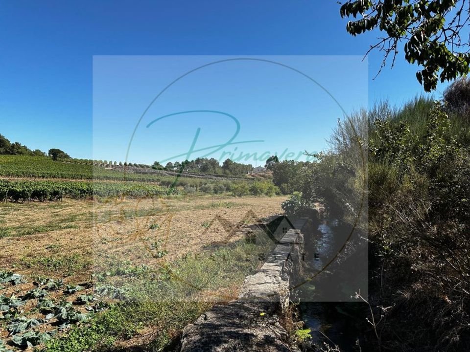 Masia a Sabrosa, Vila Real - foto 1