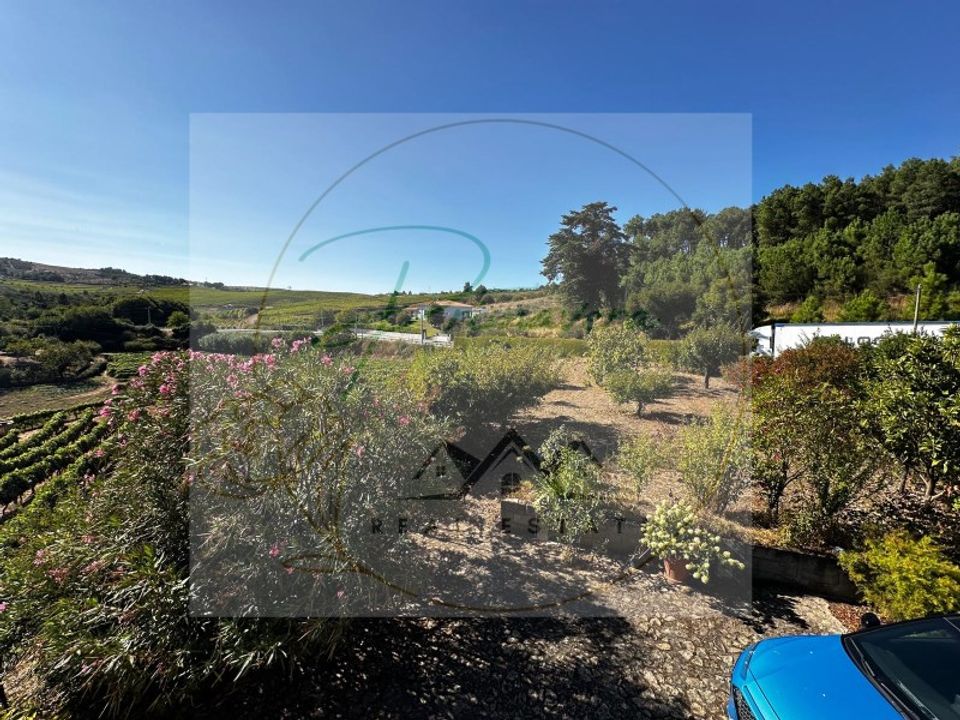 Masia a Sabrosa, Vila Real - foto 2