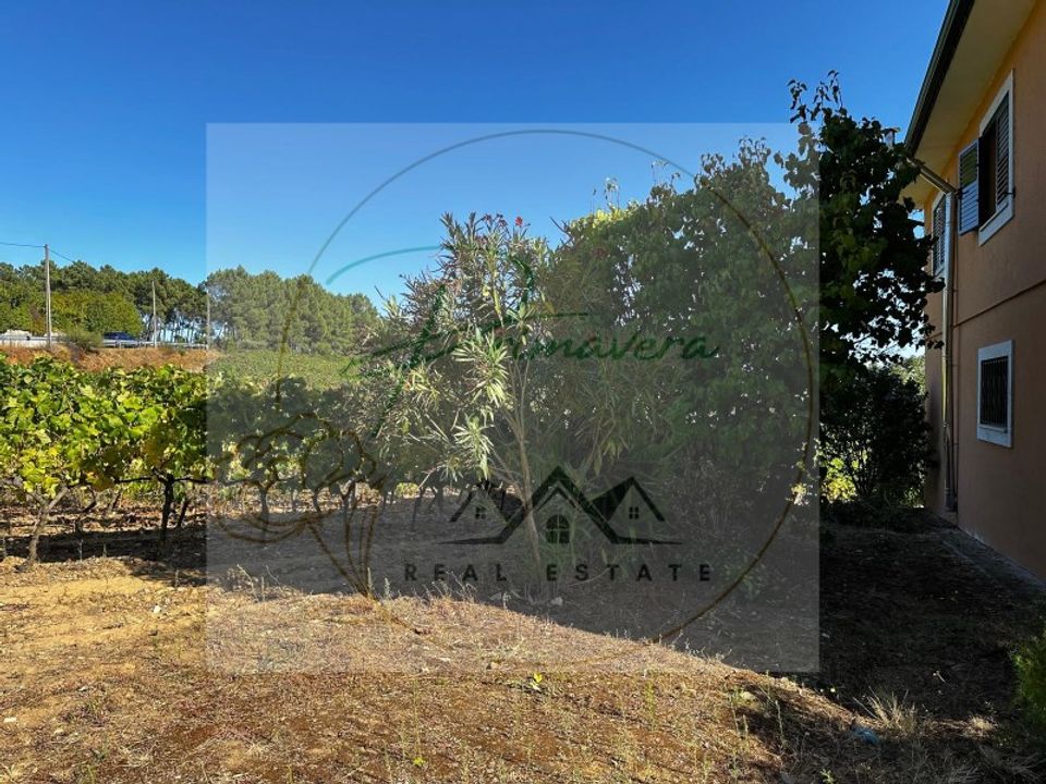 Masia a Sabrosa, Vila Real - foto 5
