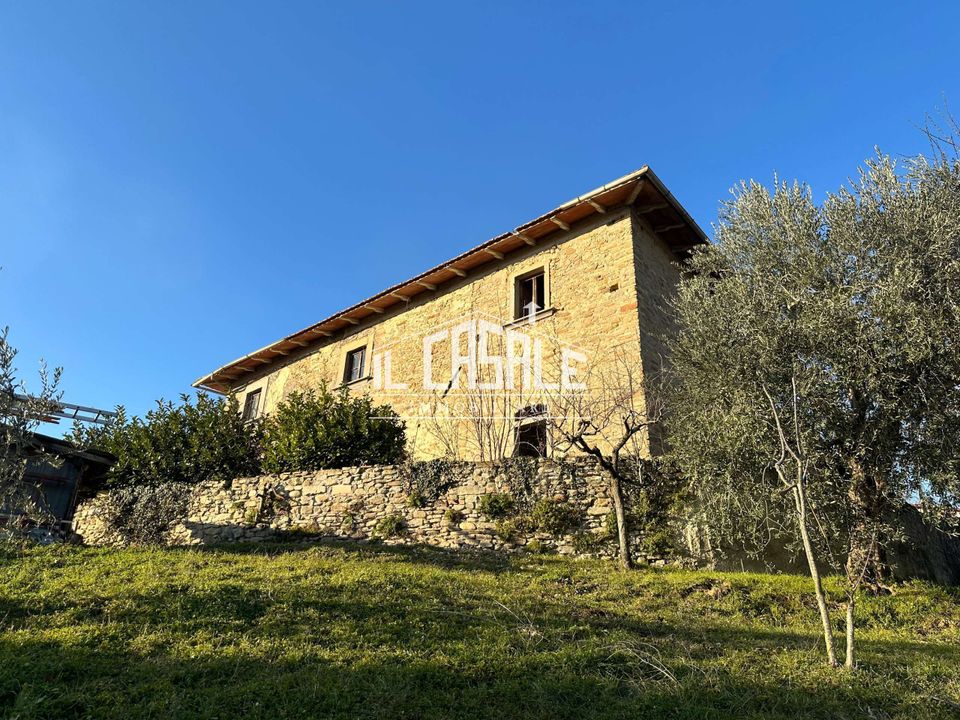 Villa i Vicchio, Florence - foto 1