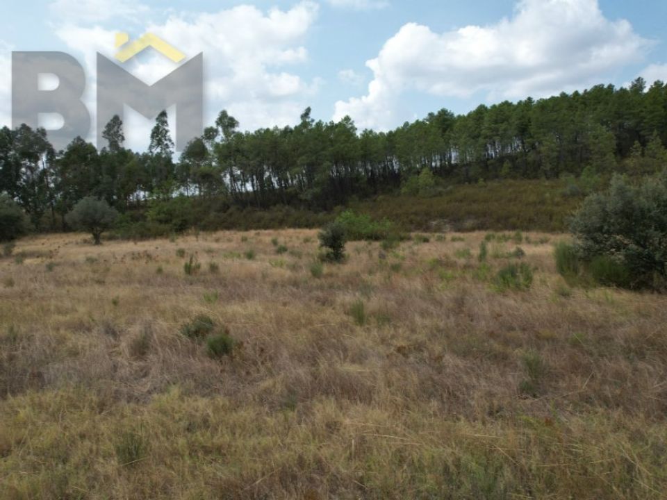 Helårsgrund i Penamacor, Castelo Branco - foto 2
