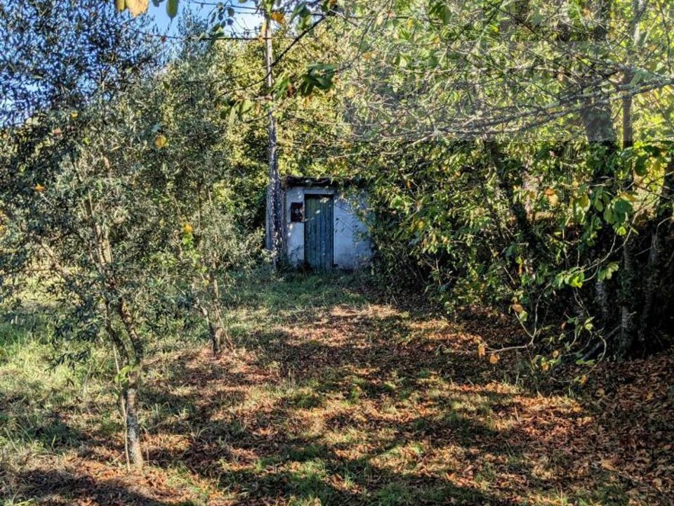 Helårsgrund i Tabua, Coimbra - foto 3