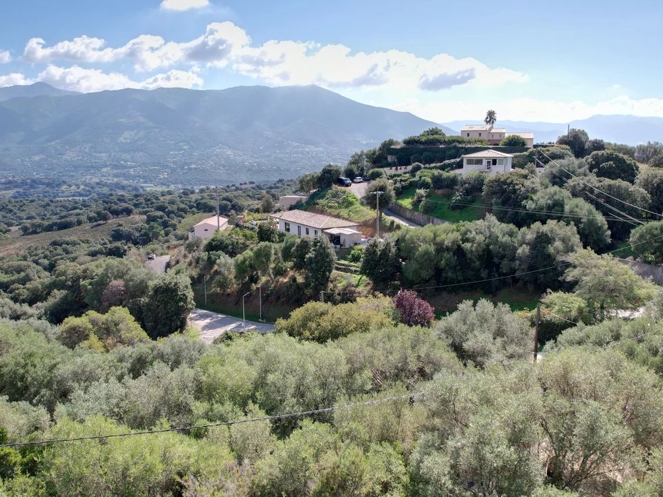 Tomt i Afa, Corse-du-Sud - bilde 2