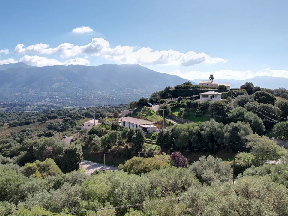Tomt i Afa, Corse-du-Sud - bilde 3
