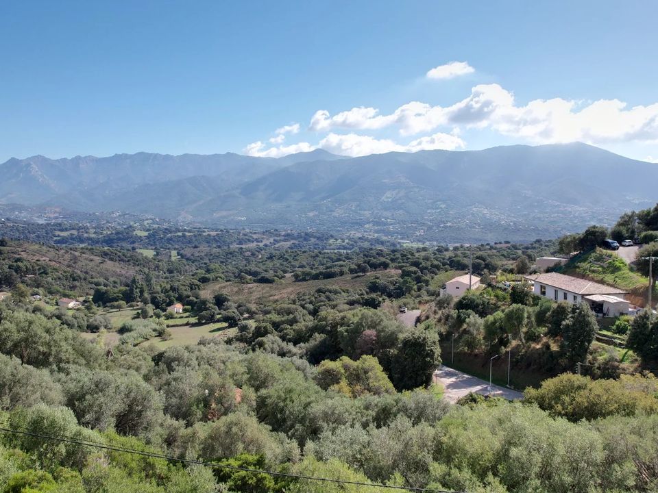 Tomt i Afa, Corse-du-Sud - bilde 4