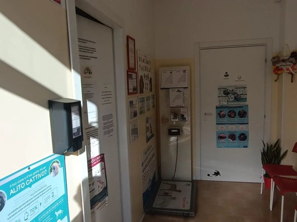 Erhvervsejendom i Perugia, Perugia - foto 2