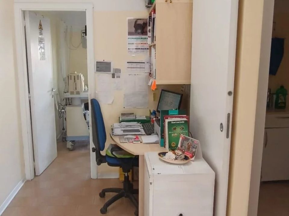 Erhvervsejendom i Perugia, Perugia - foto 5