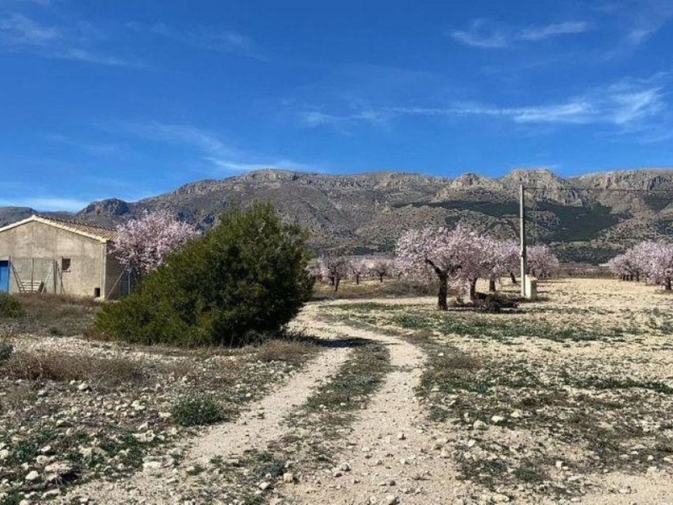 Landejendom i Velez-Rubio, Almeria - foto 4