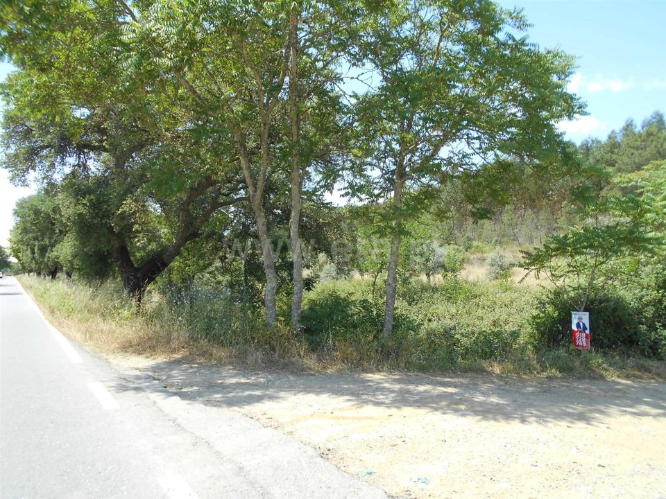 Helårsgrund i Vila Velha de Rodao, Castelo Branco - foto 1
