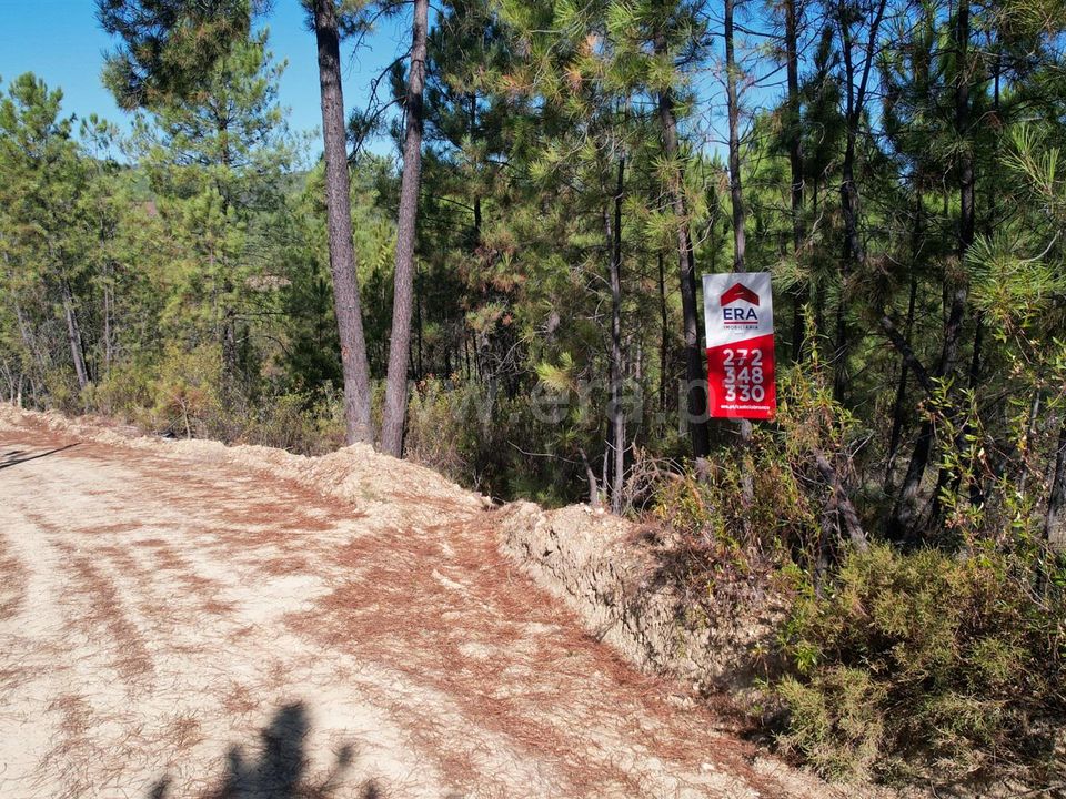 Helårsgrund i Castelo Branco, Castelo Branco - foto 2