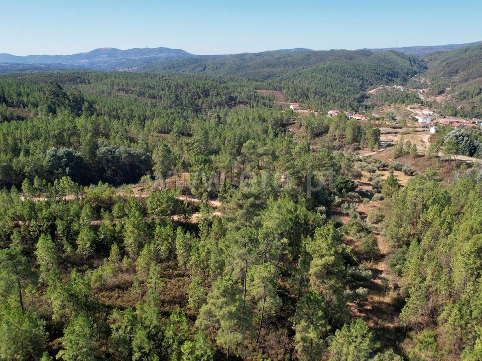 Helårsgrund i Castelo Branco, Castelo Branco - foto 4