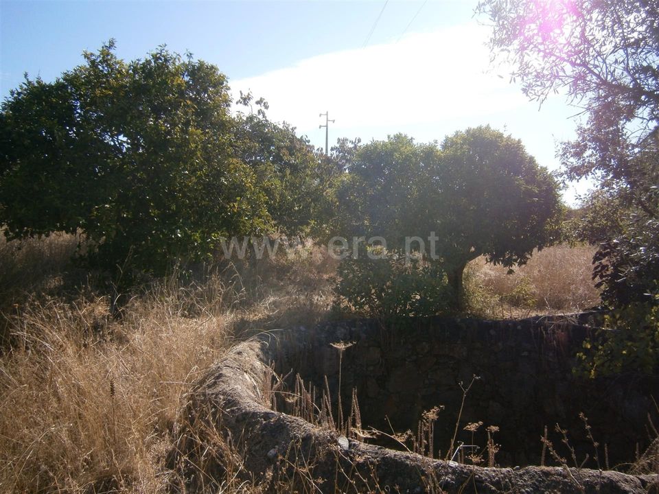Helårsgrund i Castelo Branco, Castelo Branco - foto 4