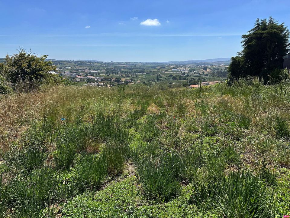 Helårsgrund i Bombarral, Leiria - foto 2