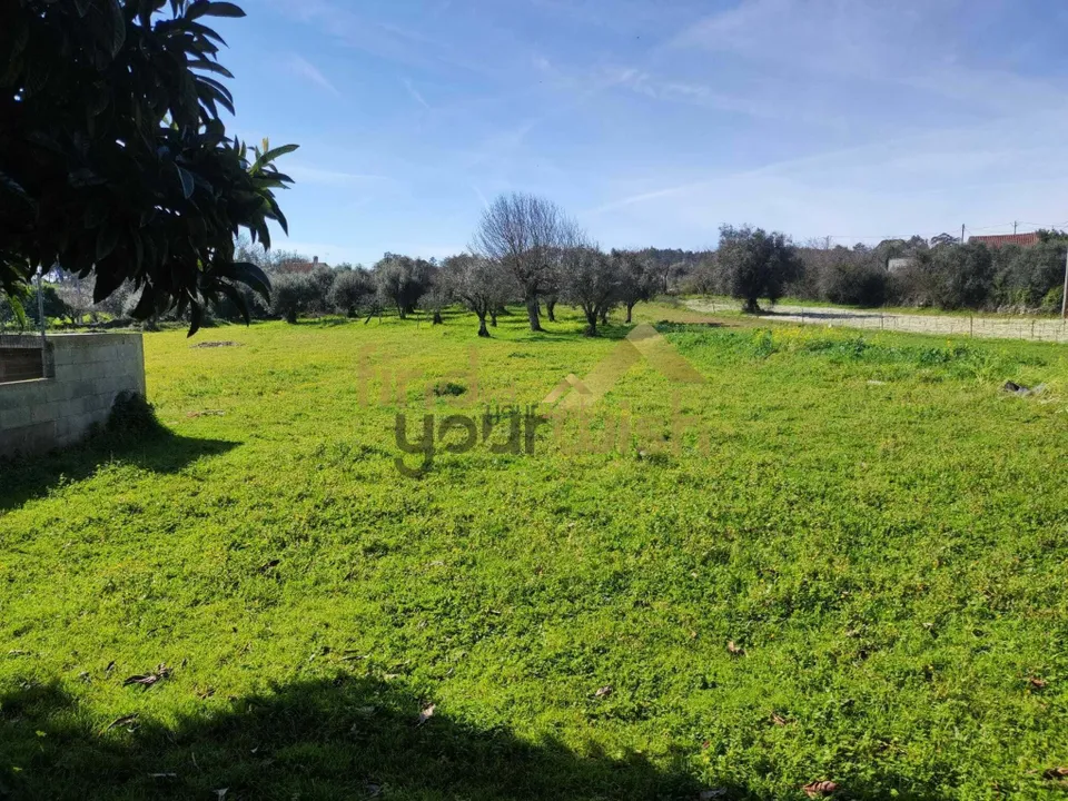 Villa i Ansiao, Leiria - foto 3