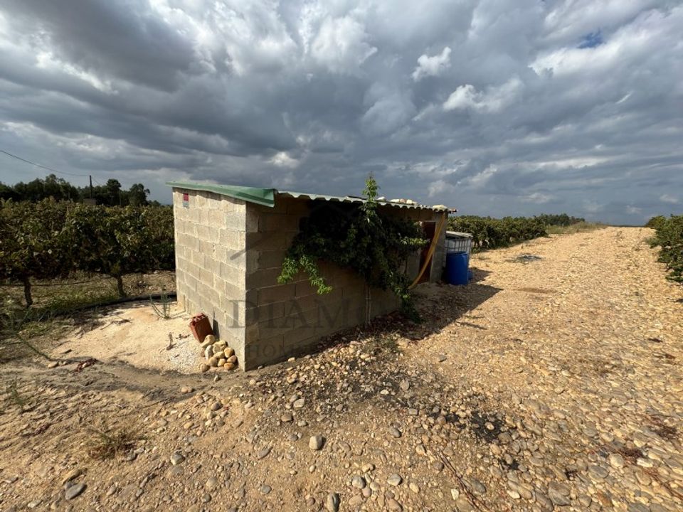 Helårsgrund i Alpiarca, Santarem - foto 3