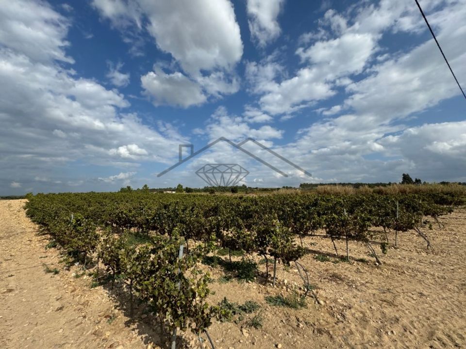 Helårsgrund i Alpiarca, Santarem - foto 4